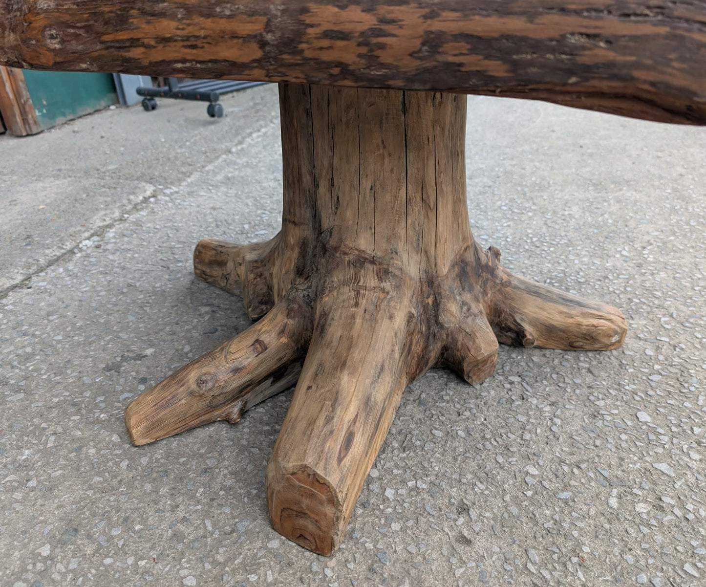 Small Root Wood Coffee Table / Live Edge (B)