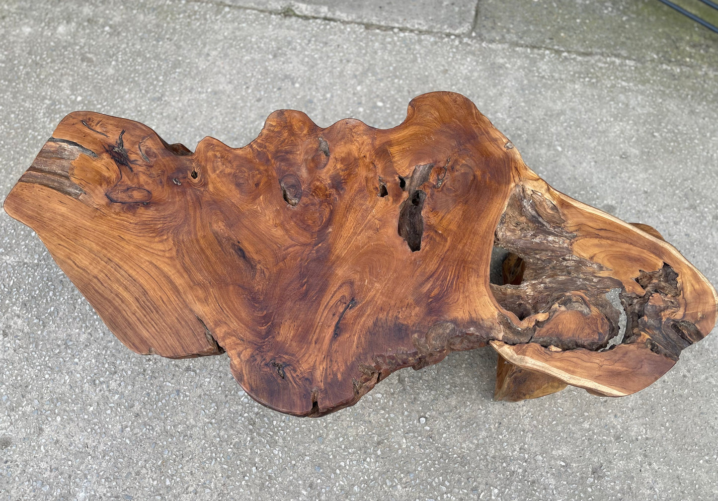 Large unique root wood coffee table on 2 legs