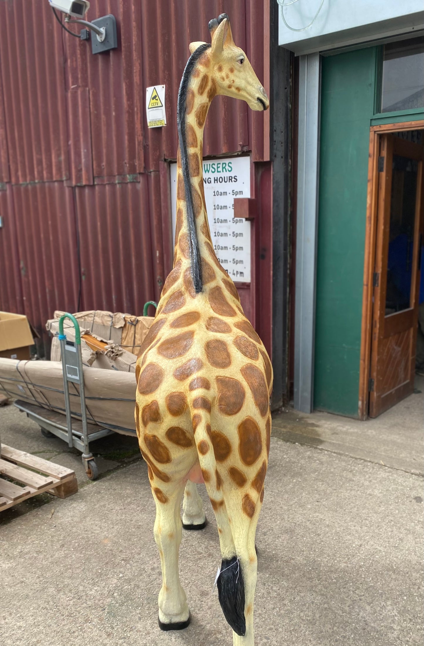 2.2m realistic Giraffe statue figure
