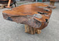 Small Root Wood Coffee Table / Live Edge (A)