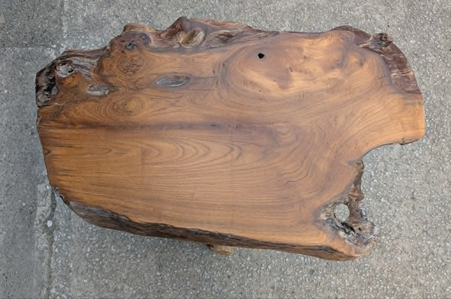 Small Root Wood Coffee Table / Live Edge (B)