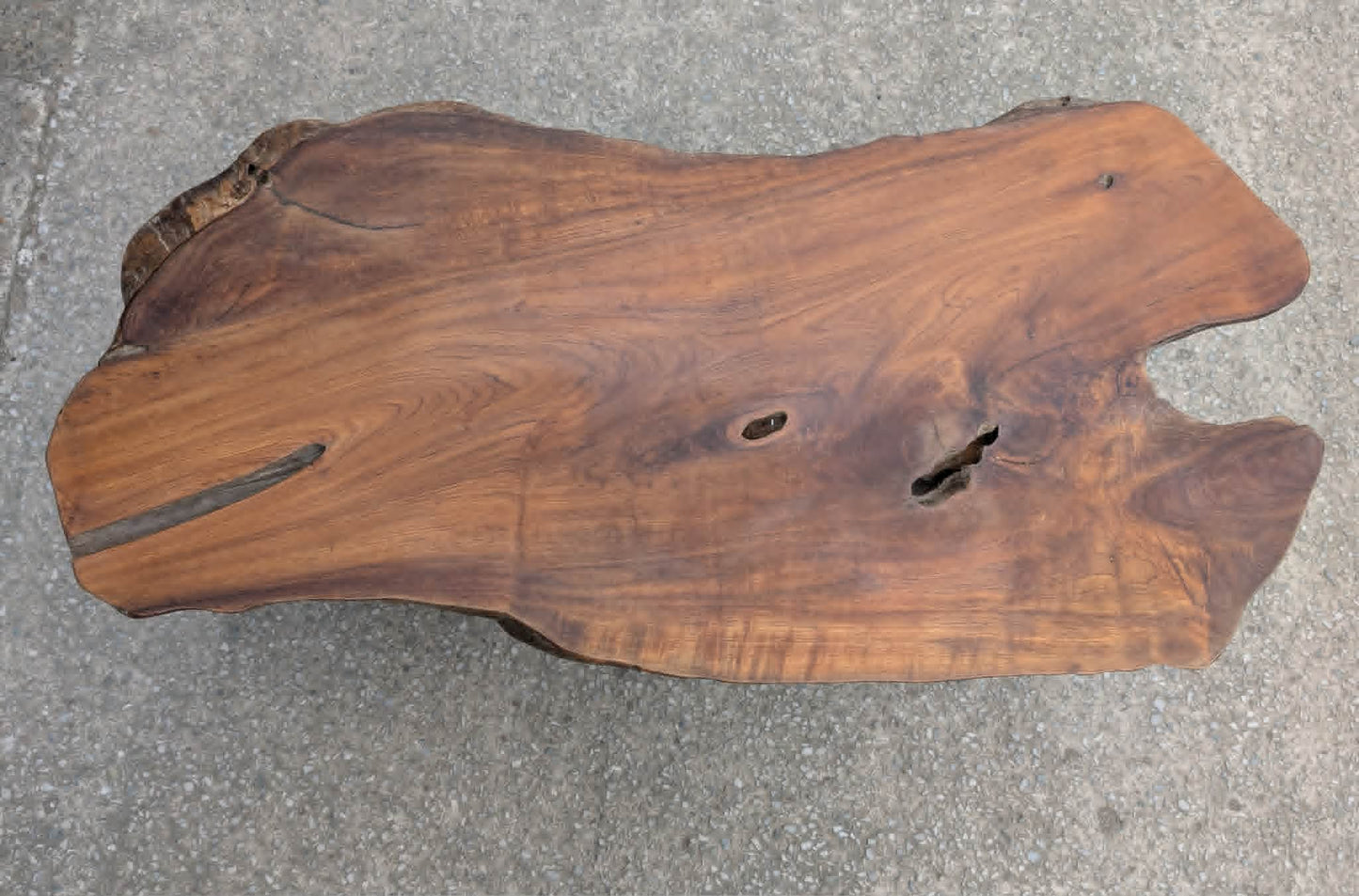 Large Root Wood Coffee Table / Live Edge