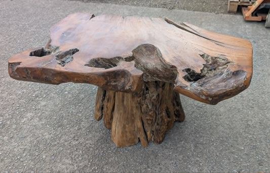 Small Root Wood Coffee Table / Live Edge (A)