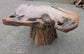 Small Root Wood Coffee Table / Live Edge (A)