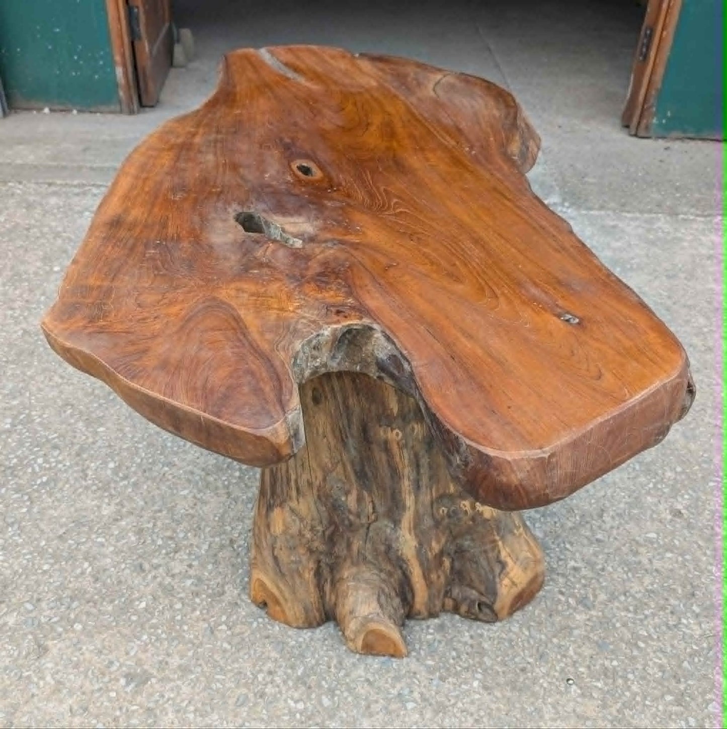 Large Root Wood Coffee Table / Live Edge