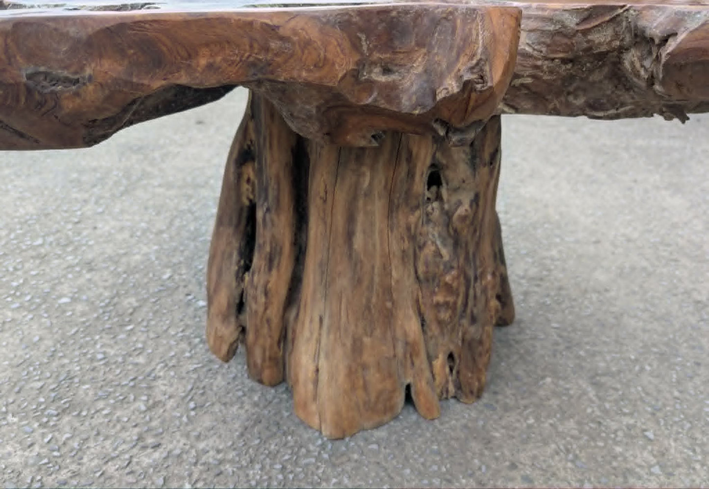 Small Root Wood Coffee Table / Live Edge (A)