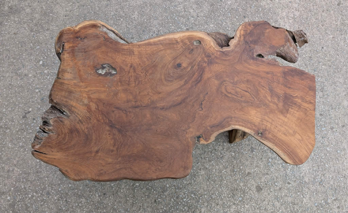 Medium Root Wood Coffee Table / Live Edge