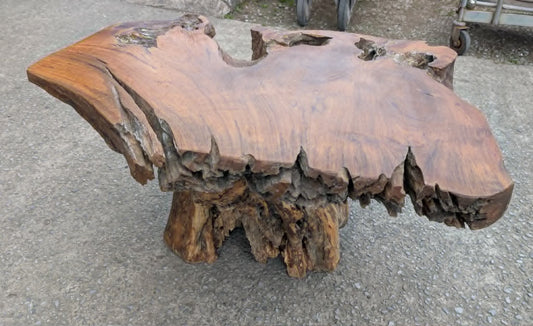 Small Root Wood Coffee Table / Live Edge (A)