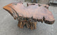 Small Root Wood Coffee Table / Live Edge (A)