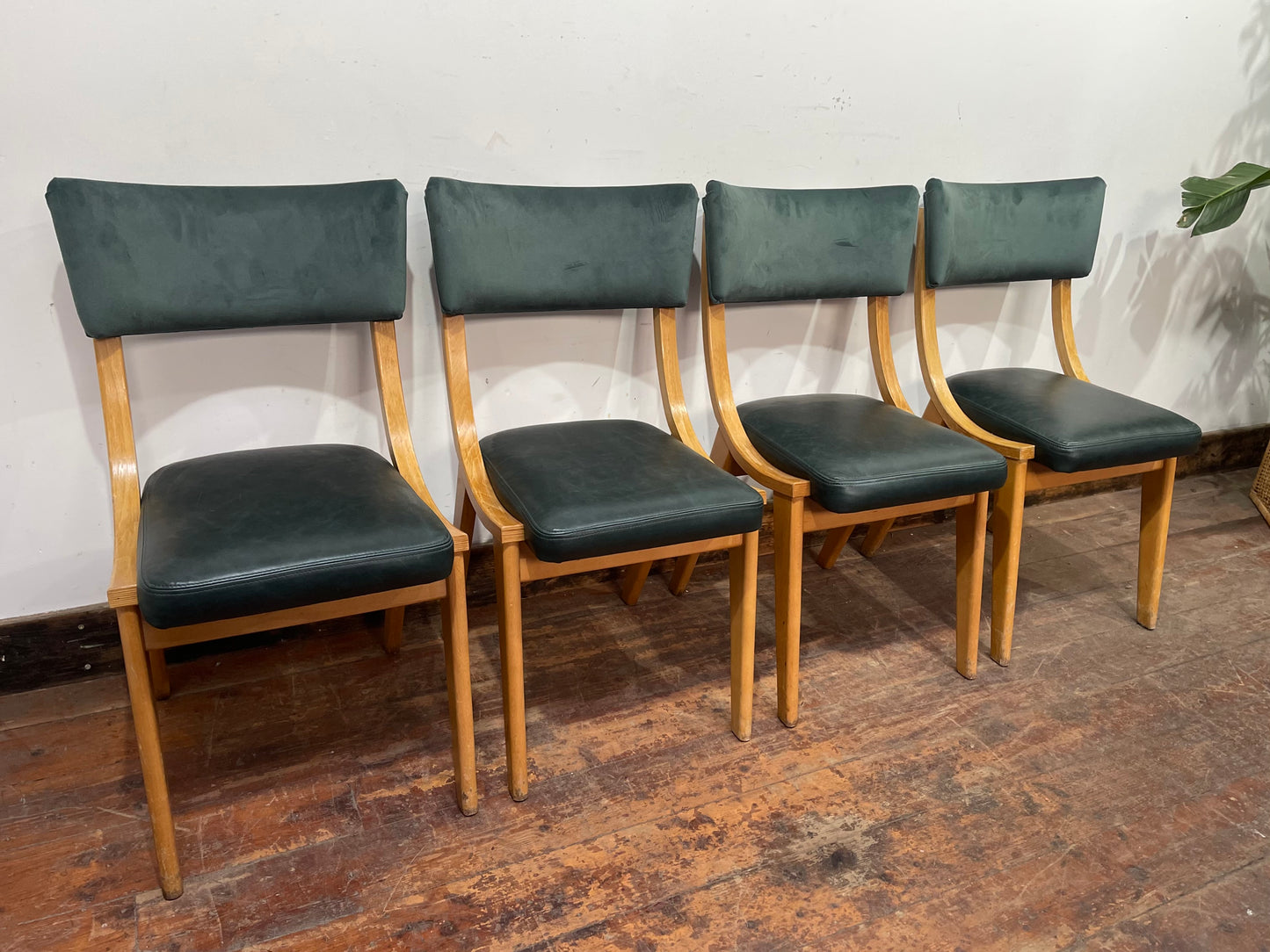 4 stylish green dining chairs for pub / cafe / restaurant