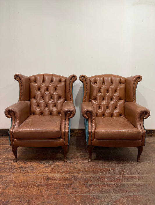 Pair of tan leather wingbacks with bright blue back and sides
