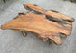 Unique root wood coffee table on 2 legs