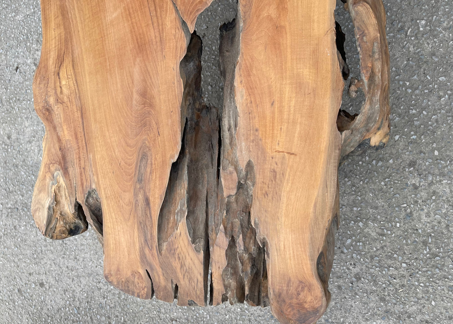 Unique root wood coffee table on 2 legs