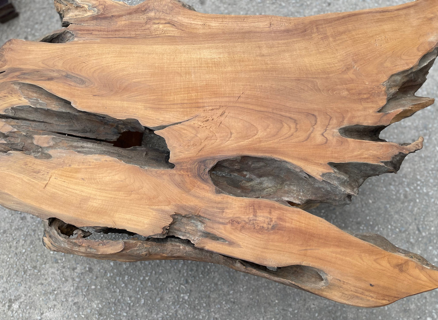 Unique root wood coffee table on 2 legs