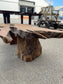 Unique root wood coffee table on 2 legs