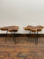 Pair of root wood side / end tables with metal legs