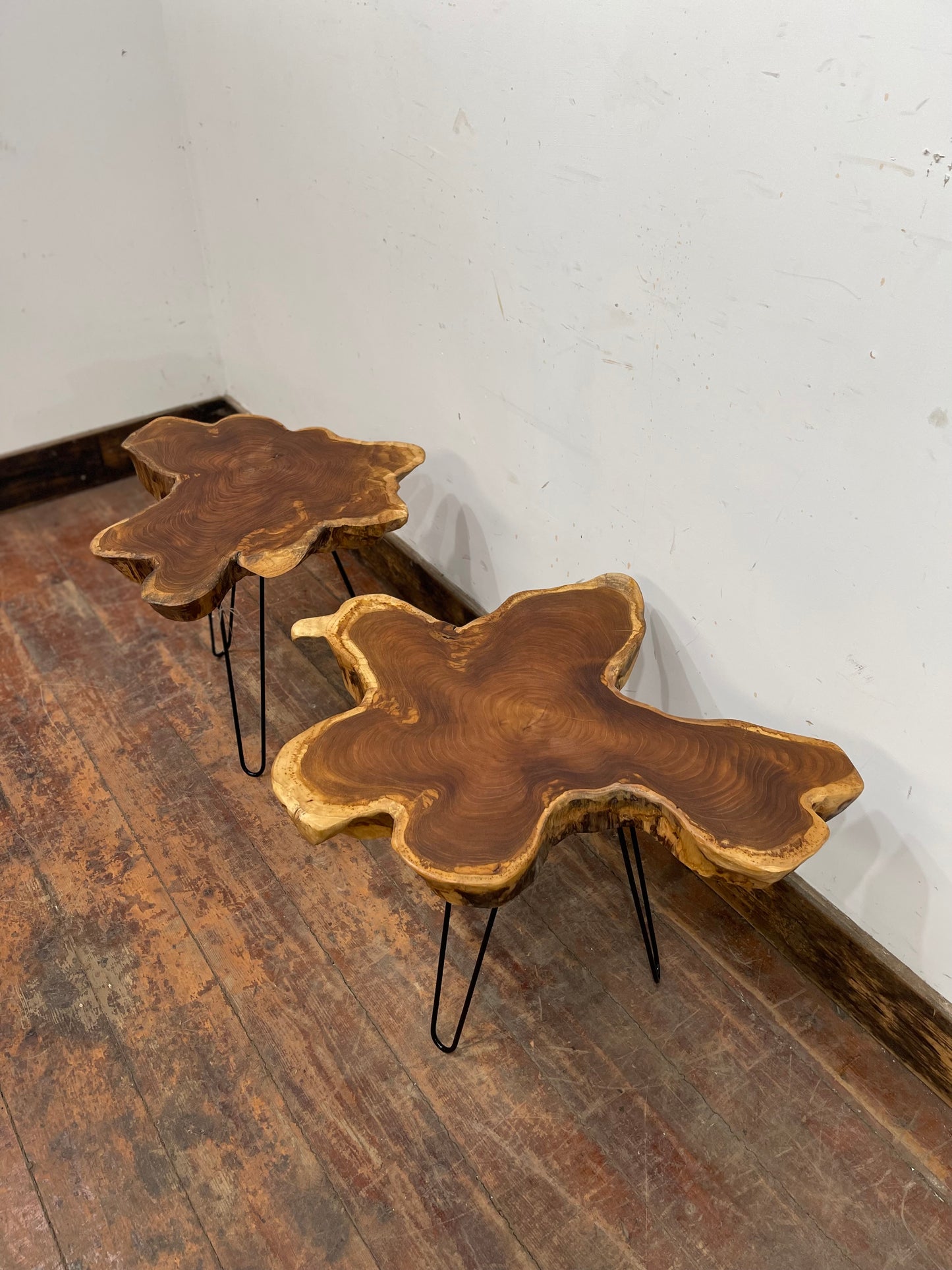 Pair of root wood side / end tables with metal legs