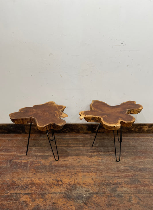 Pair of root wood side / end tables with metal legs