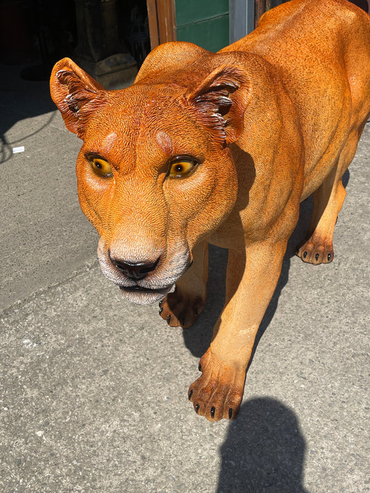 Life Size Lioness Statue Realistic Resin Lion Sculpture Garden Decor Wildlife