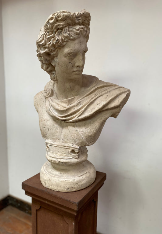 Greek God Apollo statue / bust on a plinth