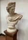 Greek God Apollo statue / bust on a plinth