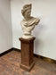 Greek God Apollo statue / bust on a plinth
