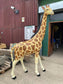 2.2m realistic Giraffe statue figure