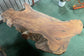 Unique root wood coffee table
