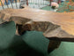 Unique root wood coffee table