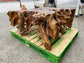 Square root wood coffee table