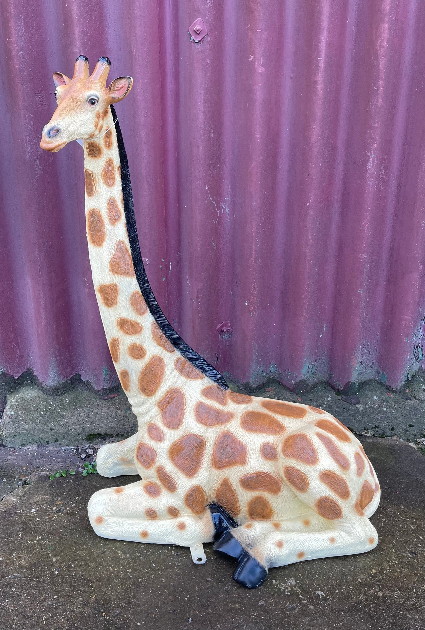 Small sitting giraffe figure / statue suitable indoors or outdoors