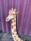 Small sitting giraffe figure / statue suitable indoors or outdoors