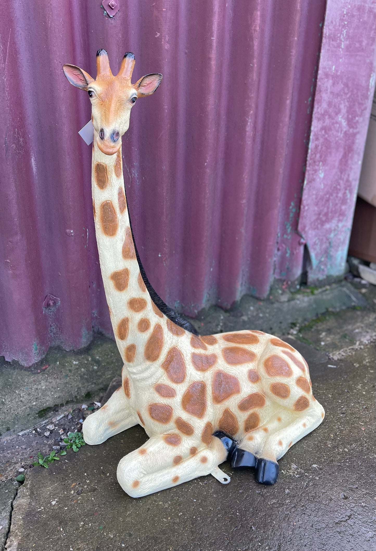 Small sitting giraffe figure / statue suitable indoors or outdoors