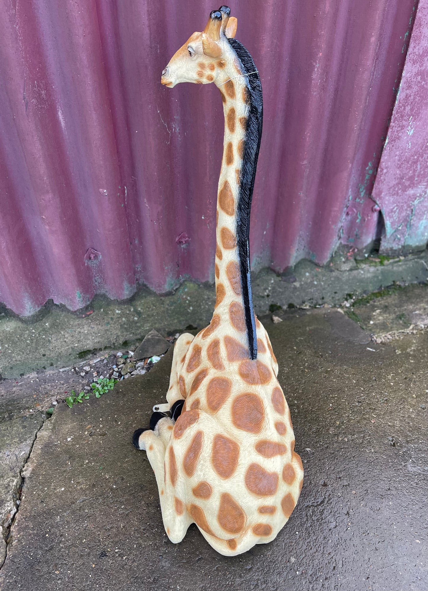 Small sitting giraffe figure / statue suitable indoors or outdoors