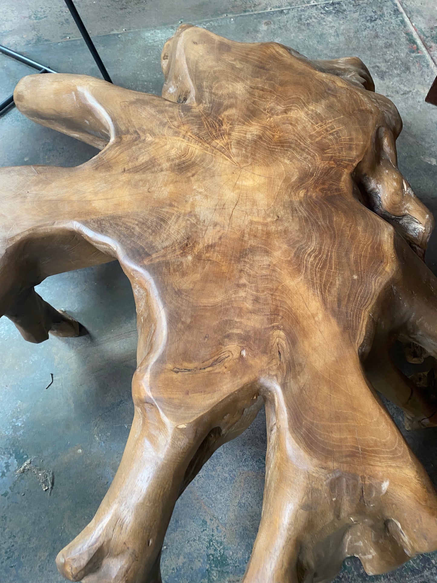 Root wood coffee table