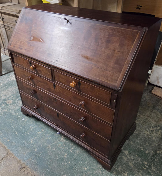 Vintage Repro Oak Writing Bureau with Fold Down Writing Surface