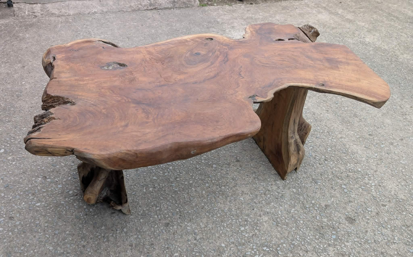 Medium Root Wood Coffee Table / Live Edge