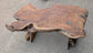 Medium Root Wood Coffee Table / Live Edge